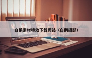 汕尾白鹅素材特效下载网站（白鹅摄影）